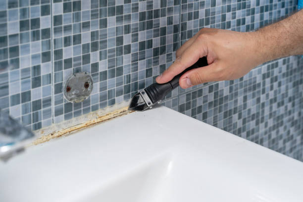 Best Mold Removal Near Me  in Los Altos, CA