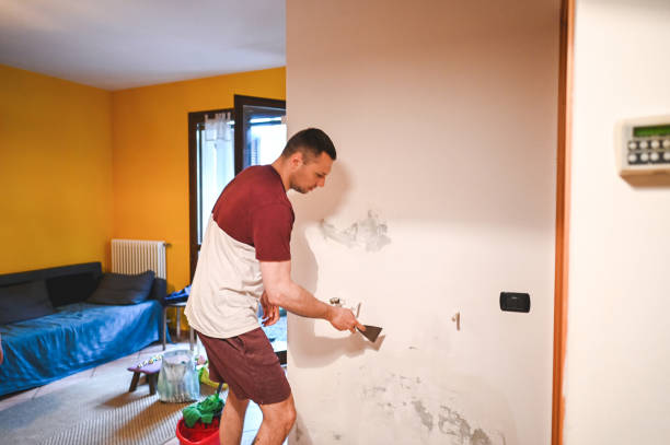 Best Mold Cleaning Services  in Los Altos, CA